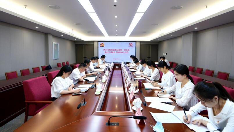 尊龙凯时集团党委书记、董事长任丁参加总部第一党支部党史学习教育专题组织生活会