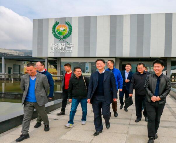 集团党委书记、董事长任丁率队调研聚峰谷
